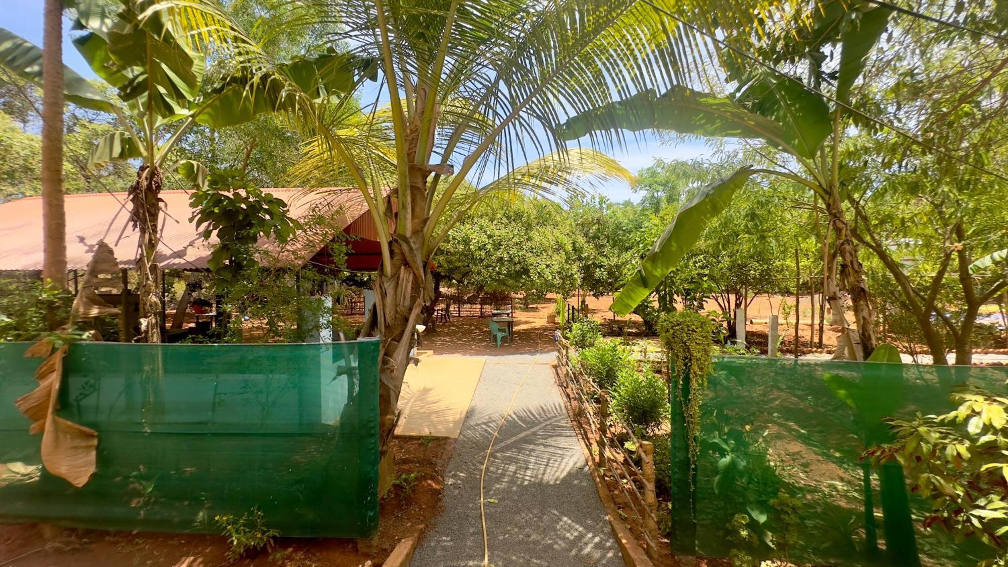 Lotus Garden Guest House Auroville Exterior photo